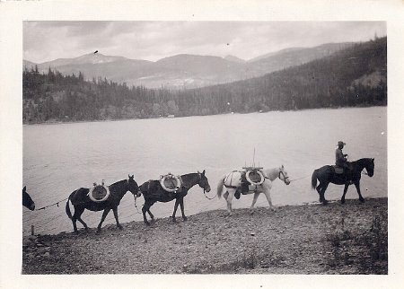 Forest Service - Pack Trains            