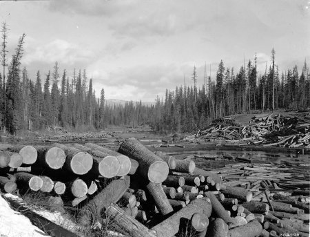 2011.21.23 Log Drive on Priest River