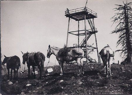 Forest Service - Lookouts               