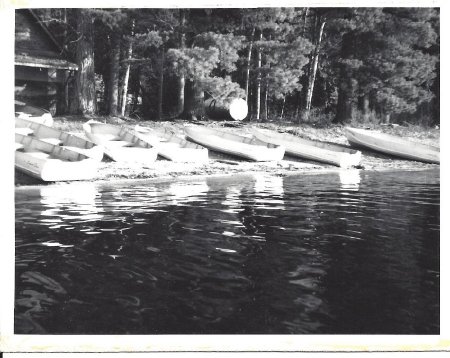 boats on shore