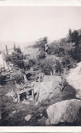 Forest Service - Lookouts