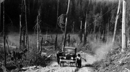 Forest Service