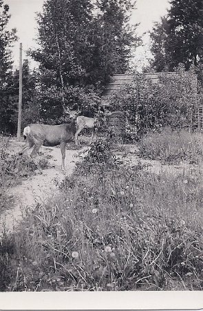 Forest Service - Stations - Beaver Creek