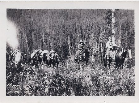 Forest Service - Pack Trains            