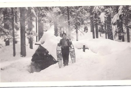 Forest Service