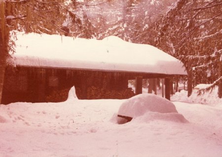 Forest Service - Luby Bay Cabin