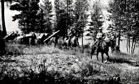 Forest Service - Pack Trains            