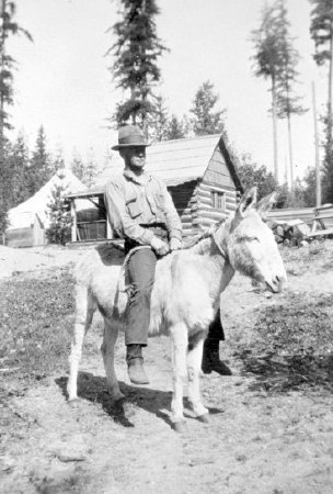 Forest Service