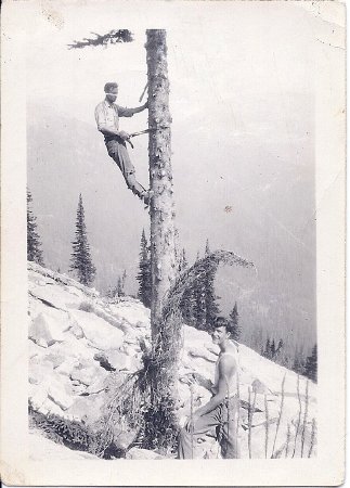 ken nelson limbing tree for telephone on Bugle Ridge