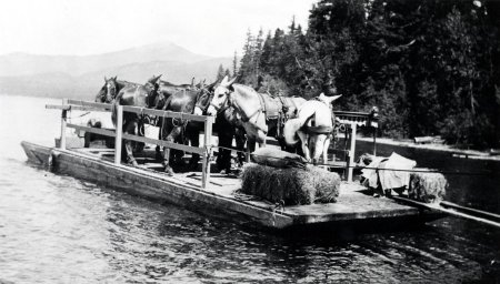 Forest Service - Pack Trains            