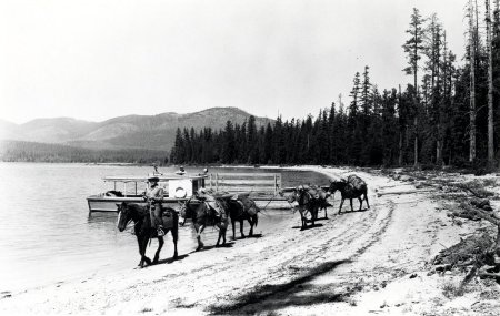 Forest Service - Pack Trains            