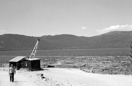 Logging - Booms
