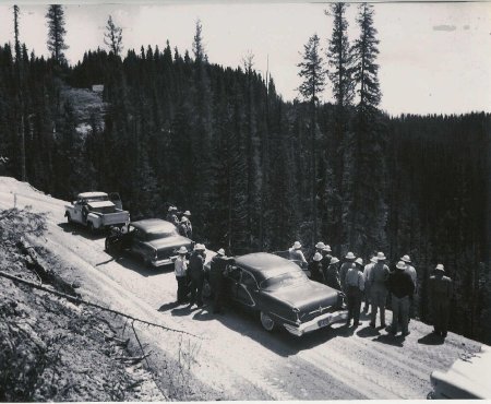 Logging - Diamond Match