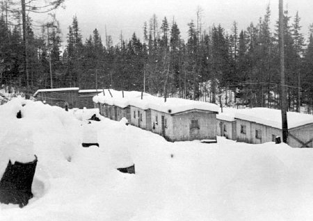 Logging - Camps