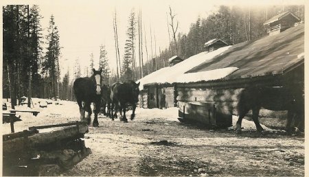 Logging - Diamond Match