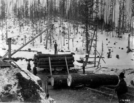 Logging