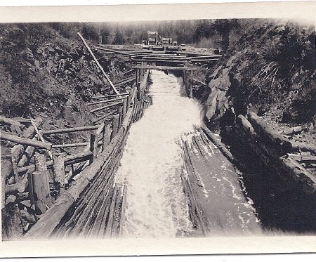 Logging