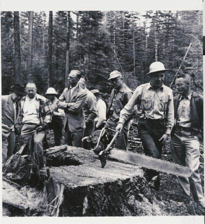 Logging - Diamond Match