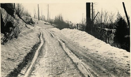 Logging - Diamond Match                 