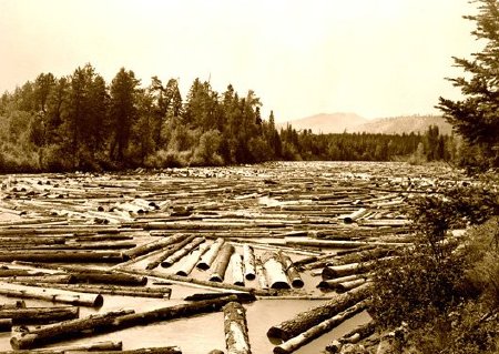 Logging - Log Drives