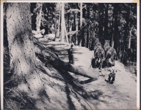 Logging - Operations