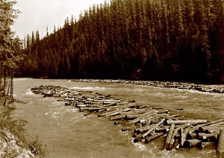 Logging - Log Drives