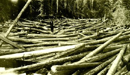 Logging - Log Drives