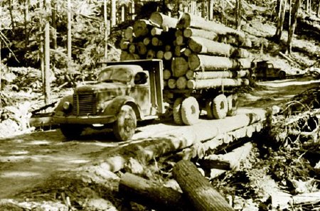 Logging - Operations                    