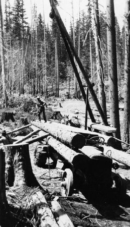 Logging