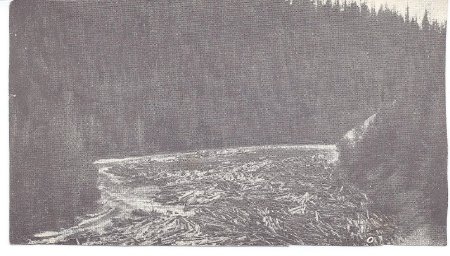 Priest River log drive 1917