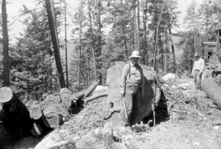 Logging - Operations